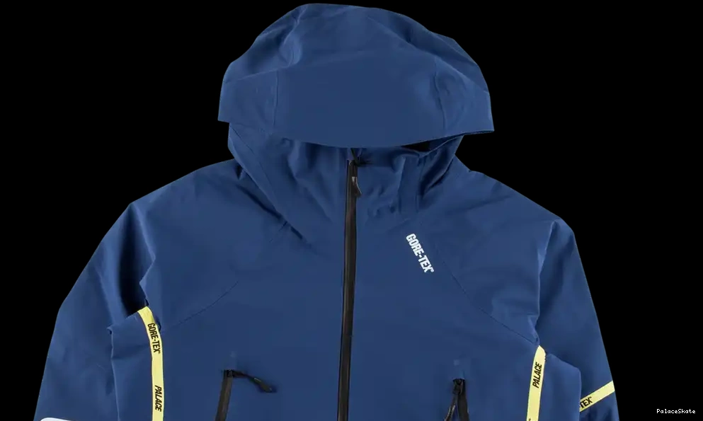 Cheap Palace Gore-Tex Palex Jacket 0627
